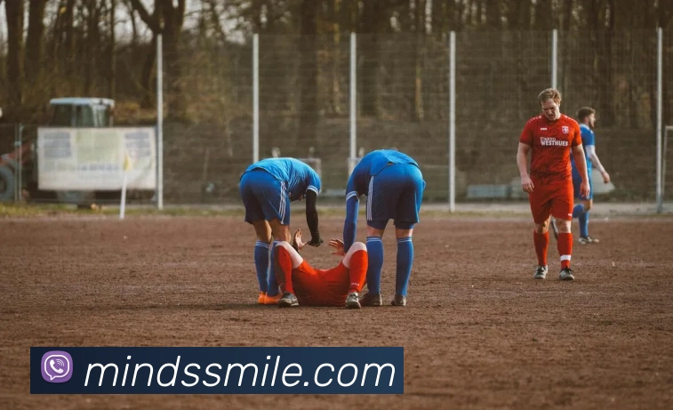 多媒体互动体验